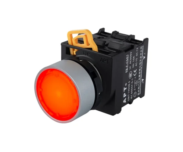 PB3(22mm) Series Illuminated Flush Pushbutton, APT - Image 1