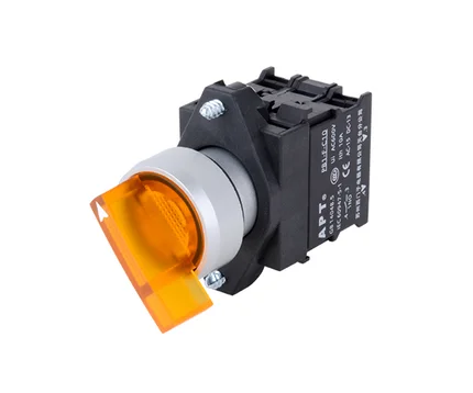 PB1(22mm) Series Illuminated Long-handle Selector Switch, APT