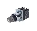 PB1(22mm) Series Key Selector Switch, APT - Thumbnail 1