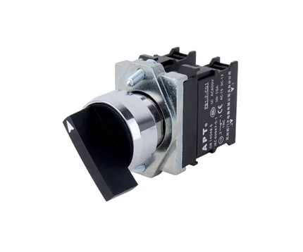 PB1(22mm) Series Long-handle Selector Switch, APT